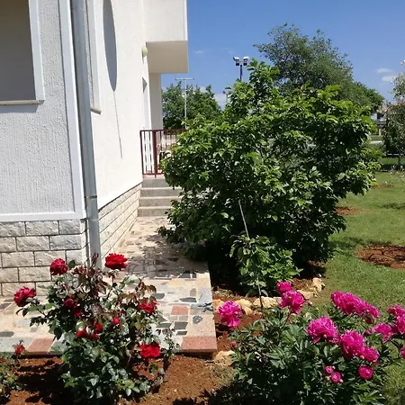 Vesna Apartment *