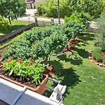 Vesna Apartment