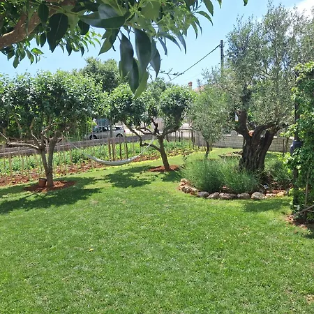 Apartmán Vesna Veleniki