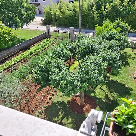 Apartmán Vesna *