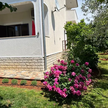 Apartmán Vesna Veleniki
